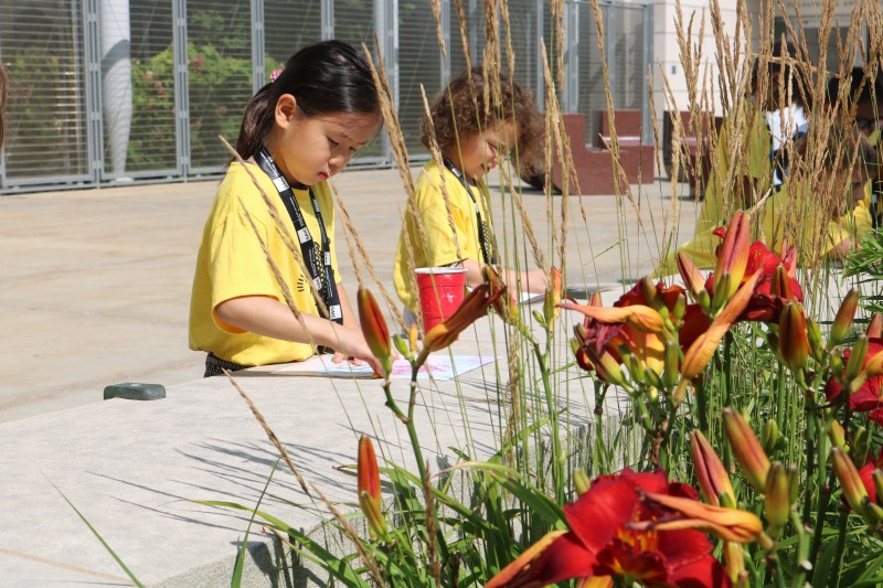 (照片由SAIC提供)小孩子天性喜近大自然,有戶外活動的興趣班更能引發學習興趣吧!