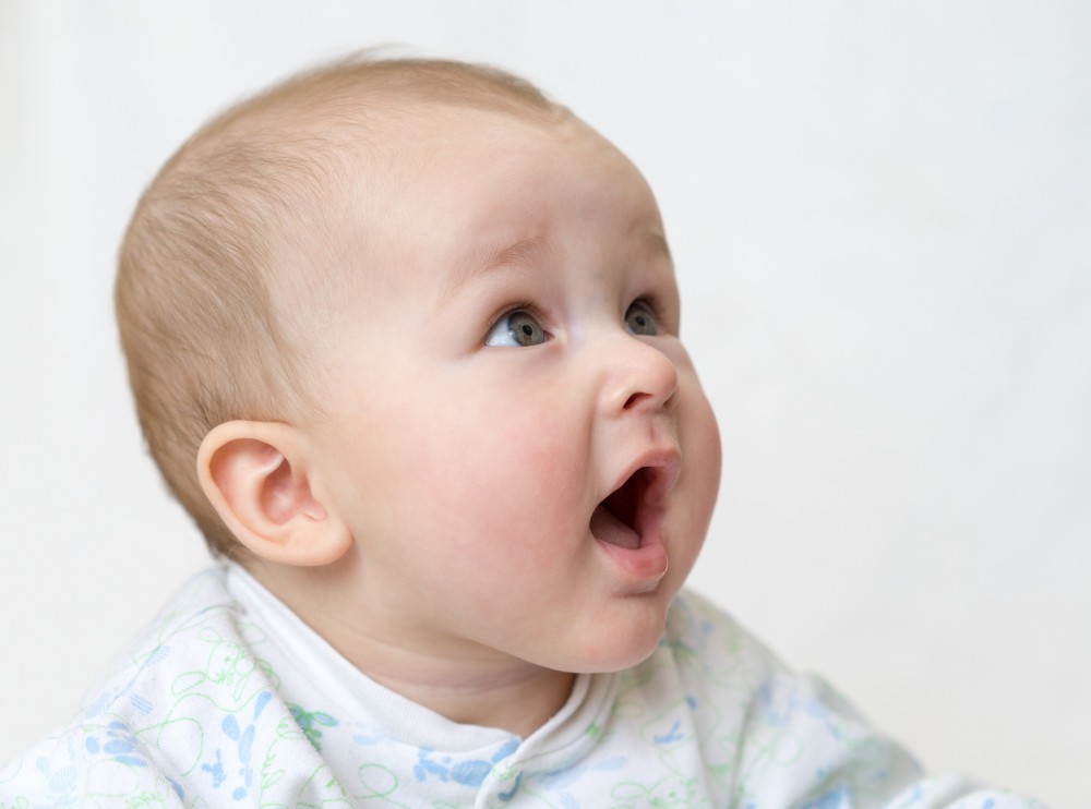 shutterstock_553175956