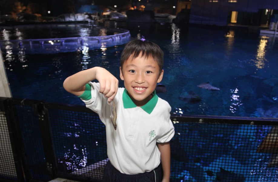 Ocean Park HK