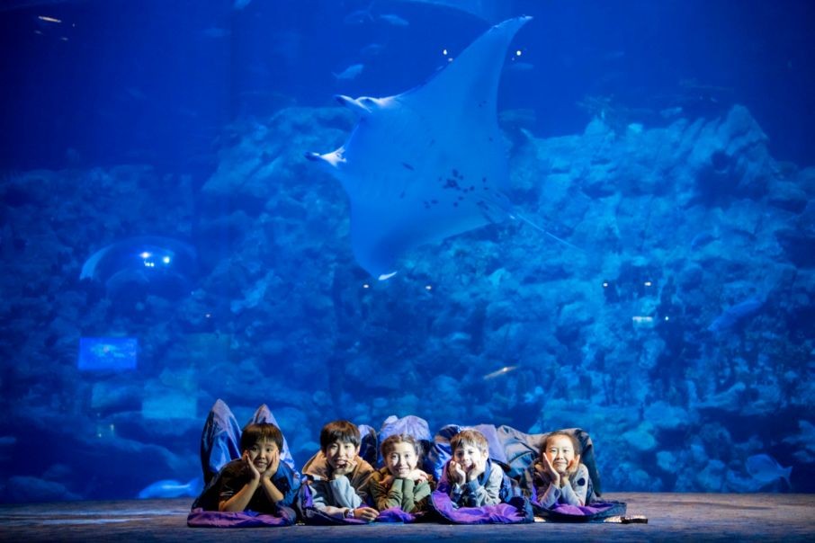 Ocean Park HK