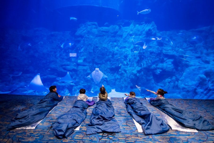Ocean Park HK