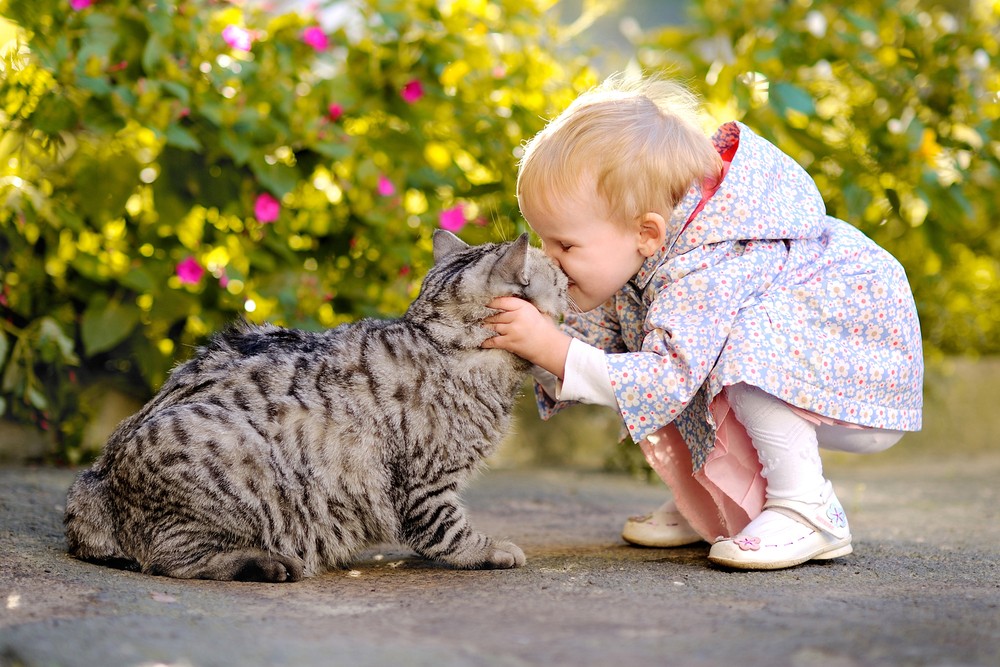 shutterstock_118616692
