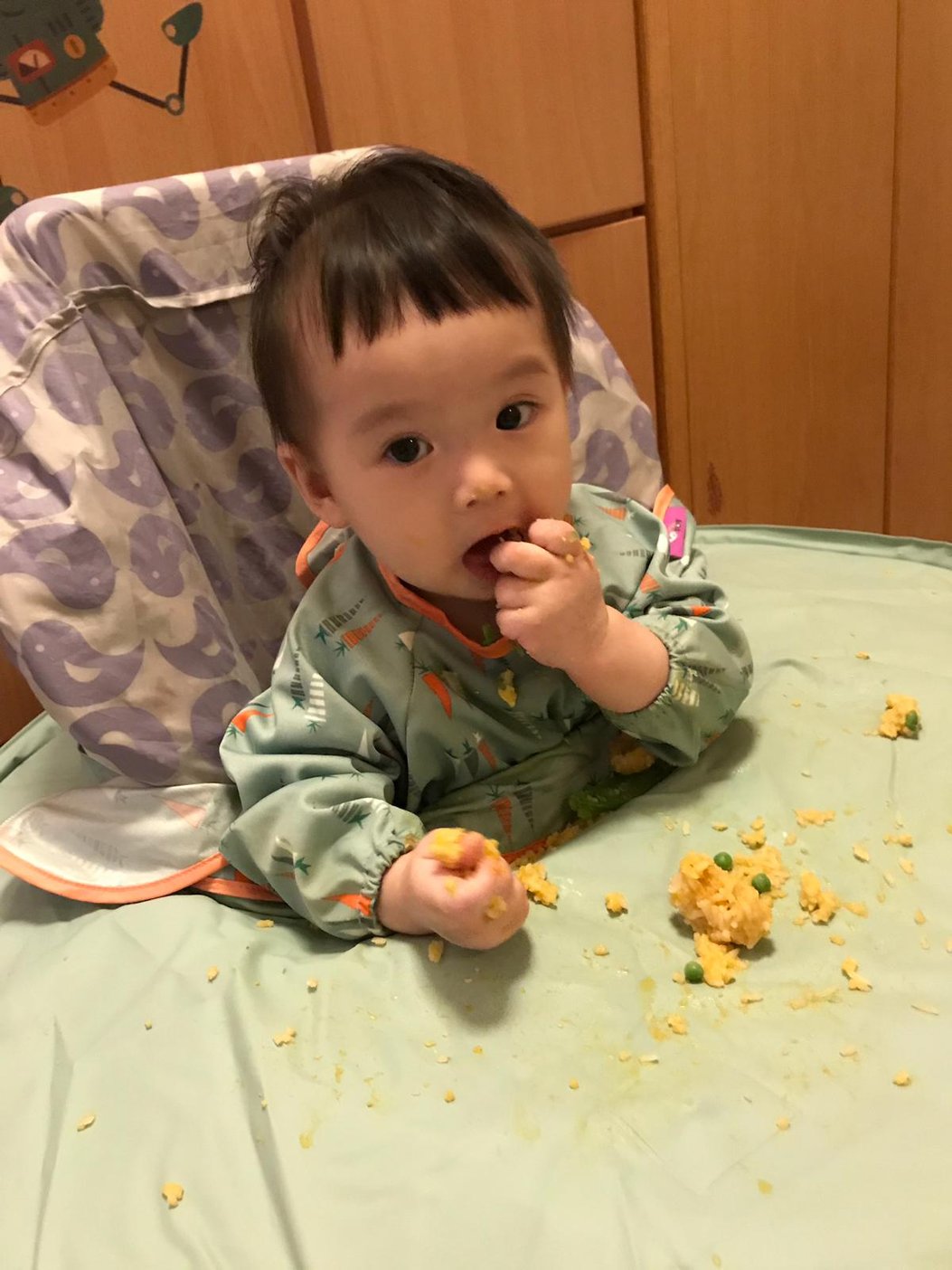 嬰兒加固食物表、時間表、加固食物次序與建議