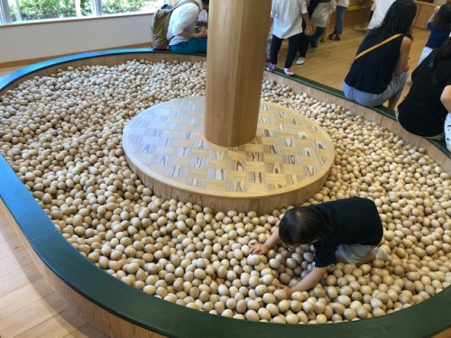 親子旅行 - 組合樹屋(きりかぶハウス)