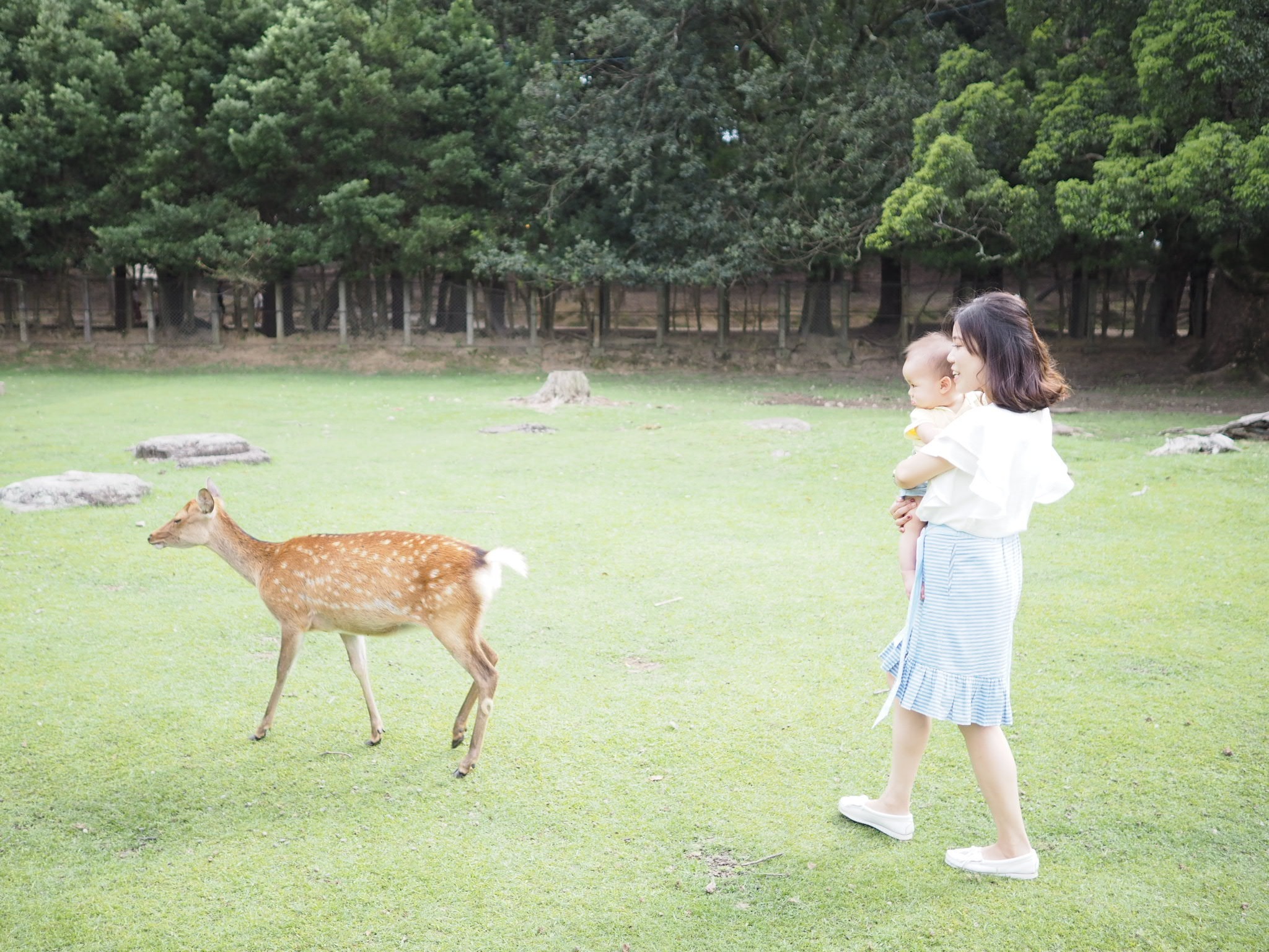 親子旅行 - 難忘的親子時光