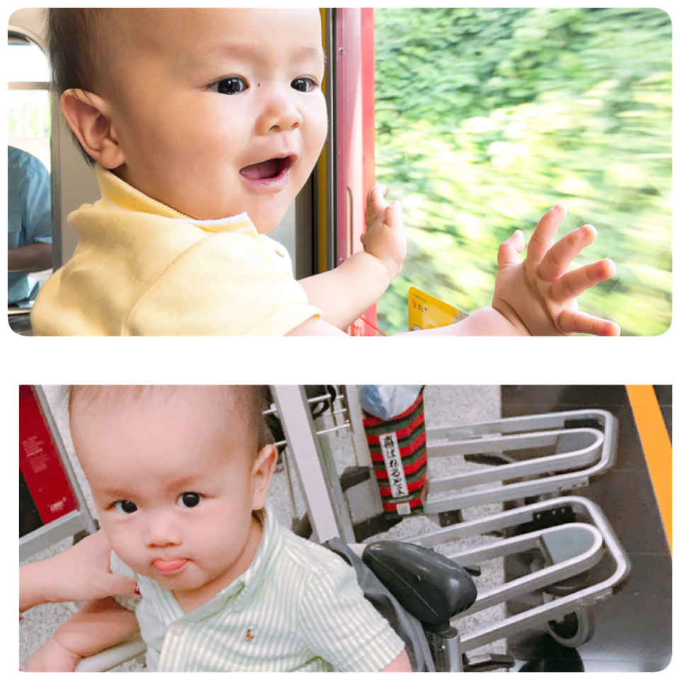 親子旅行 - 帶寶寶旅行