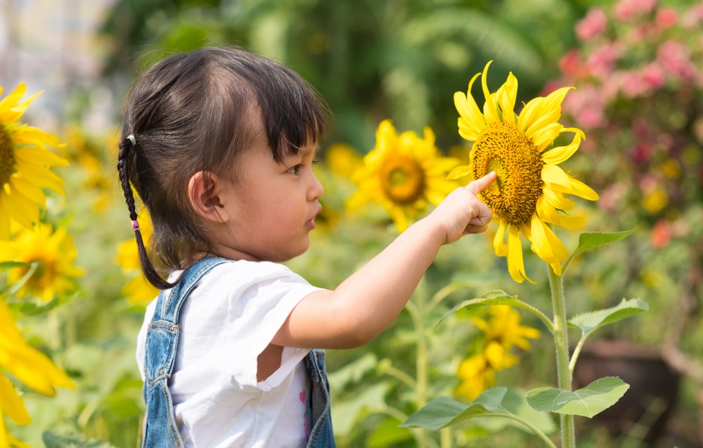 意大利人不會刻意劃分「大人」和「小孩」，反而會一視同仁。