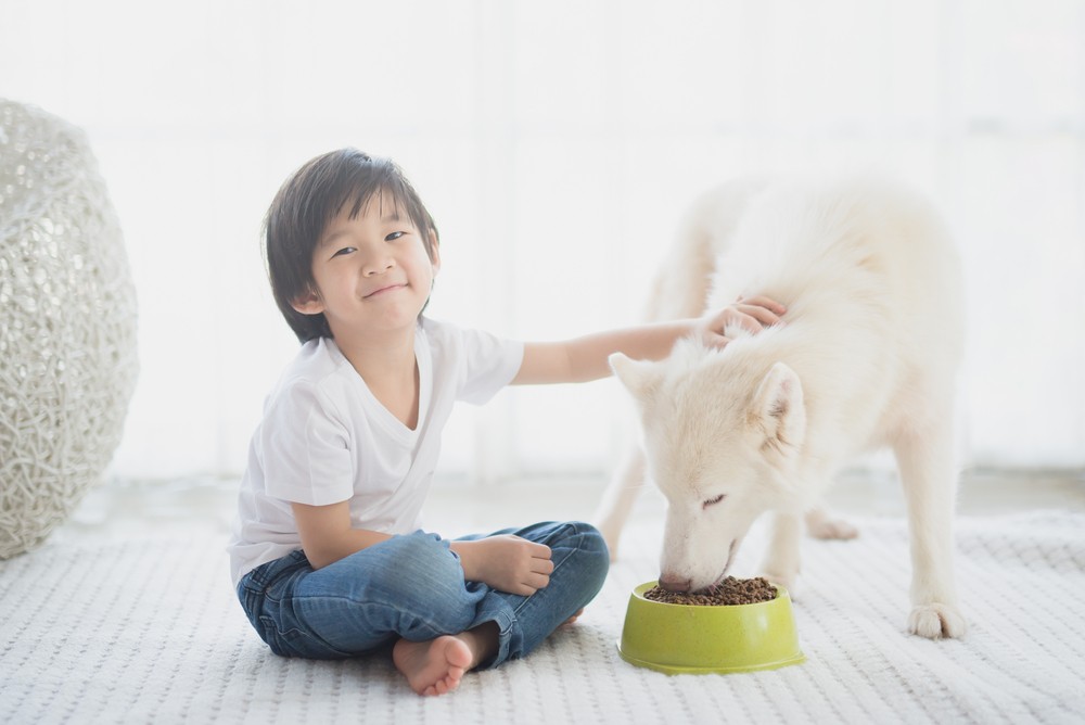 照顧寵物需要很多時間和心血,讓孩子照顧小動物能讓他們學會對生命的尊重