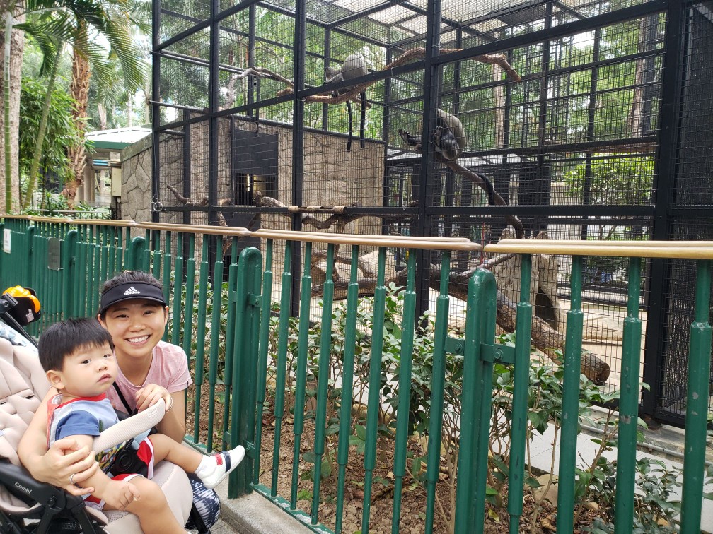 親子好去處 - 帶毛爺去睇下動物