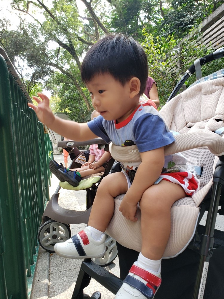 親子好去處 - 毛爺好認真、好興奮