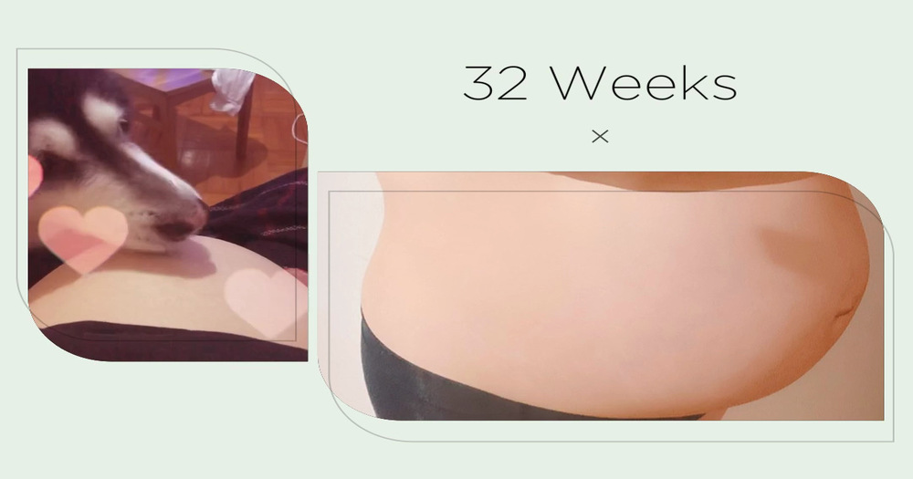 懷孕記錄 - 出院安胎