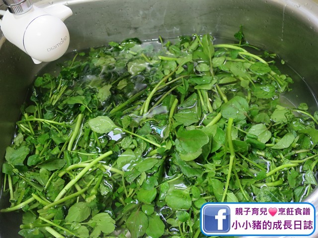 湯水分享：西洋菜先用鹽水浸佢一小時，中途最好換兩次水，因為西洋菜係水種植物，一定要洗乾淨啲呀~