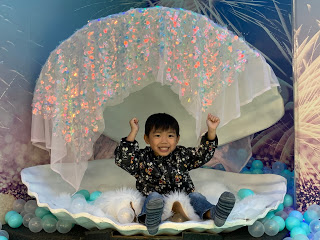 Party場地 - 超大海洋主題波波池