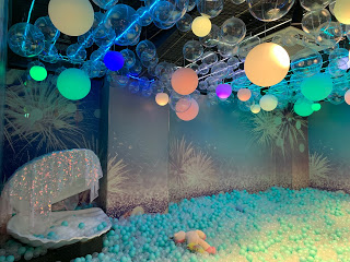 Party場地 - 超大海洋主題波波池