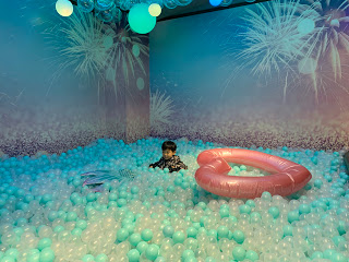 Party場地 - 超大海洋主題波波池