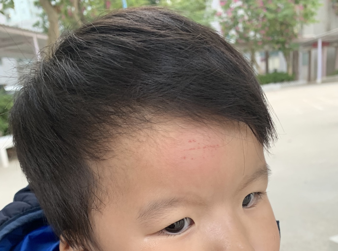 教養之道 - 利用正面句語