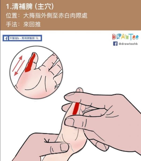 大姆指外側至赤白肉際處