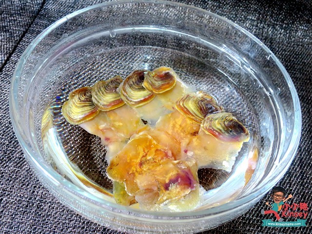 湯水分享:乾螺頭用清水放在雪櫃浸一晚~