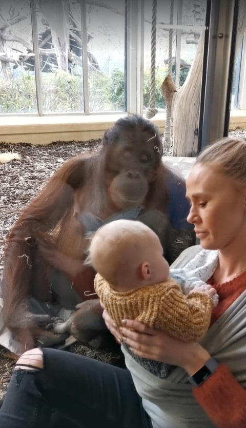 Gemma Copeland Facebook