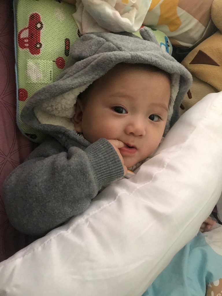 BB作息 - 4至6個月