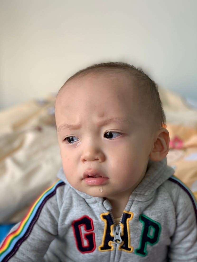 蜜柑兄弟成長1+1