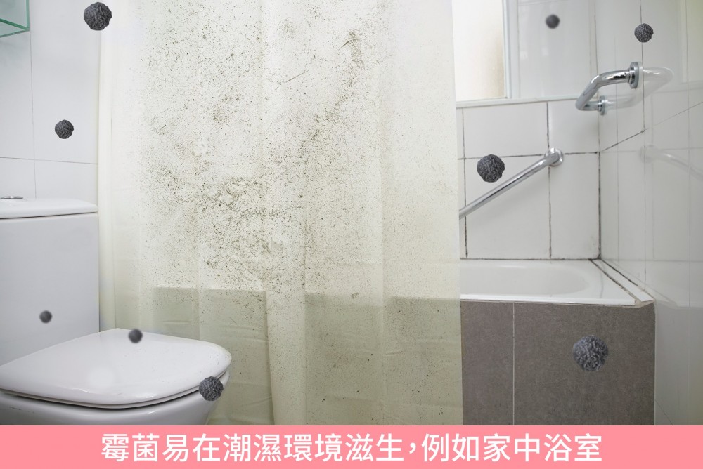 小朋友同老人家成日鼻敏感發作?殺滅家居致敏霉菌可減低病發機會