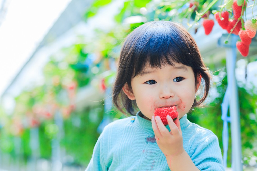 父母要避免給1歲以下的孩子進食,同時也要留意小朋友會否對它產生過敏反應。