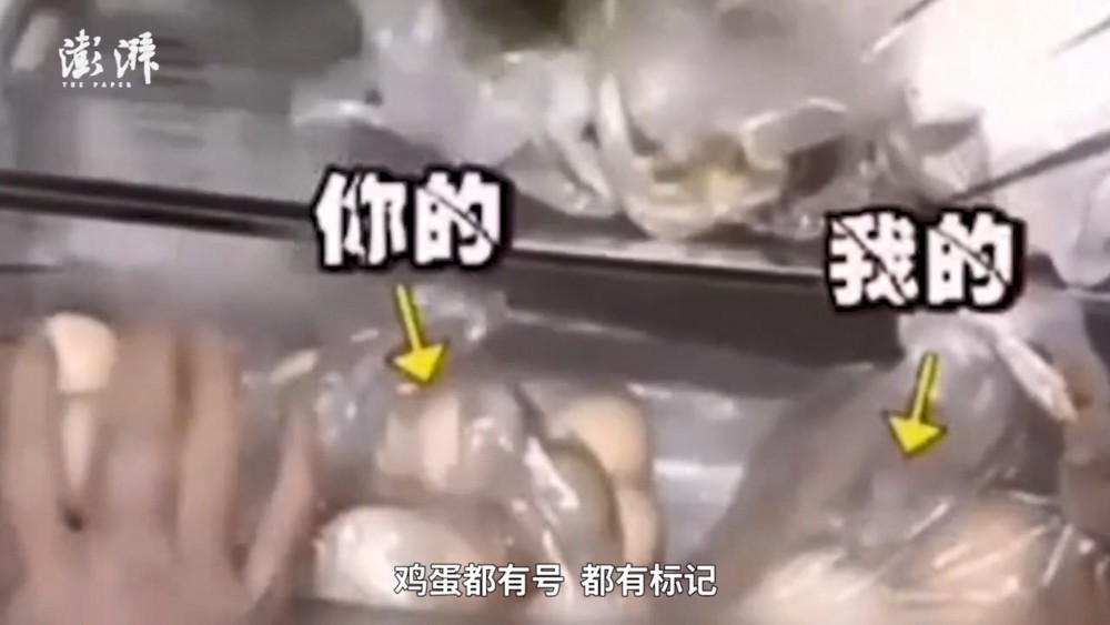 澎湃新聞