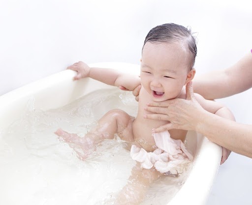 慈慧幼苗