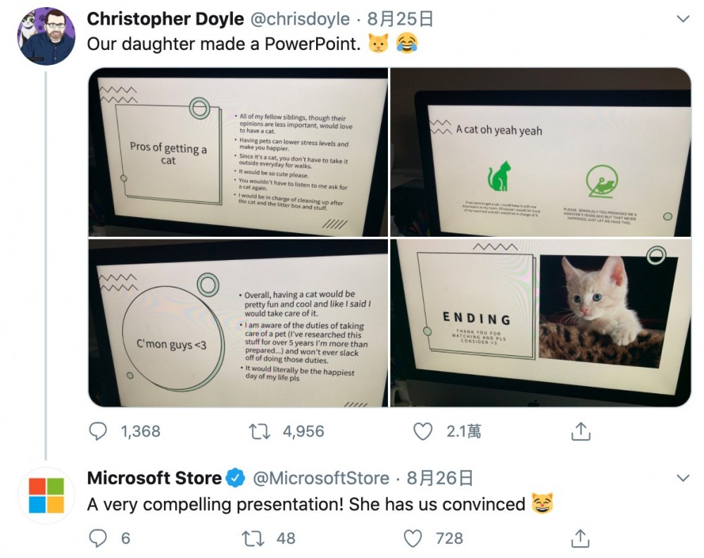 cat ppt ms