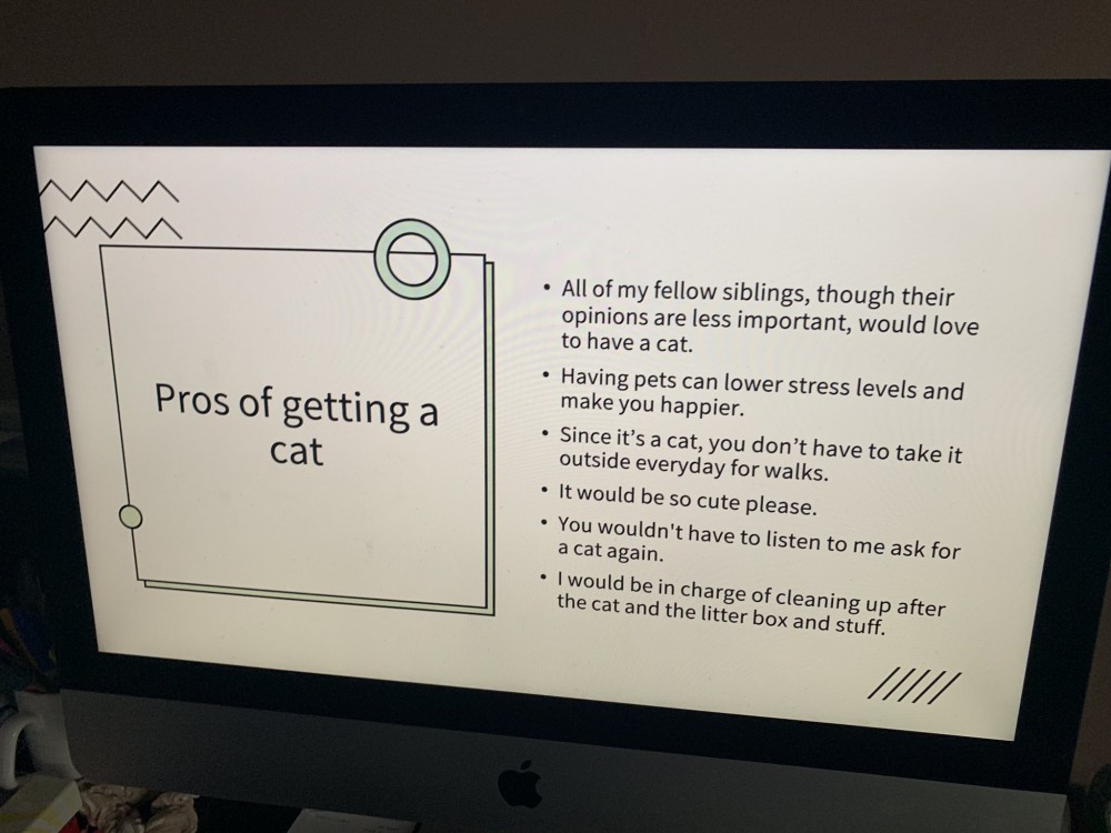 cat ppt