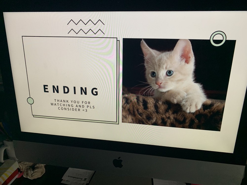 cat ppt