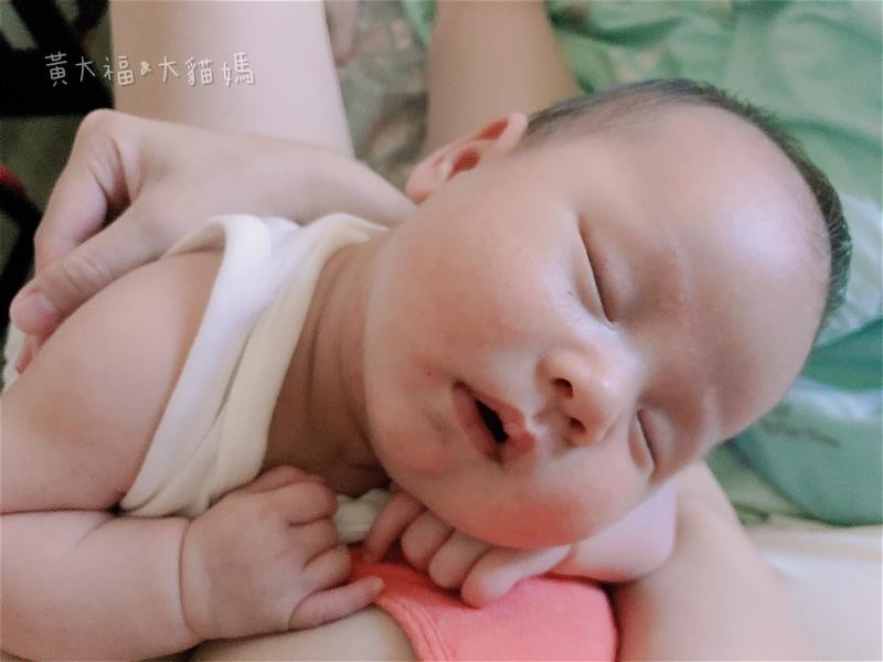 BB趴睡。