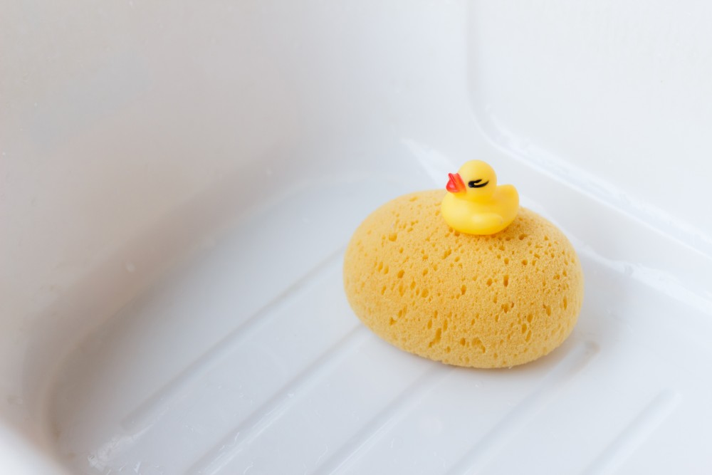 yellow duck