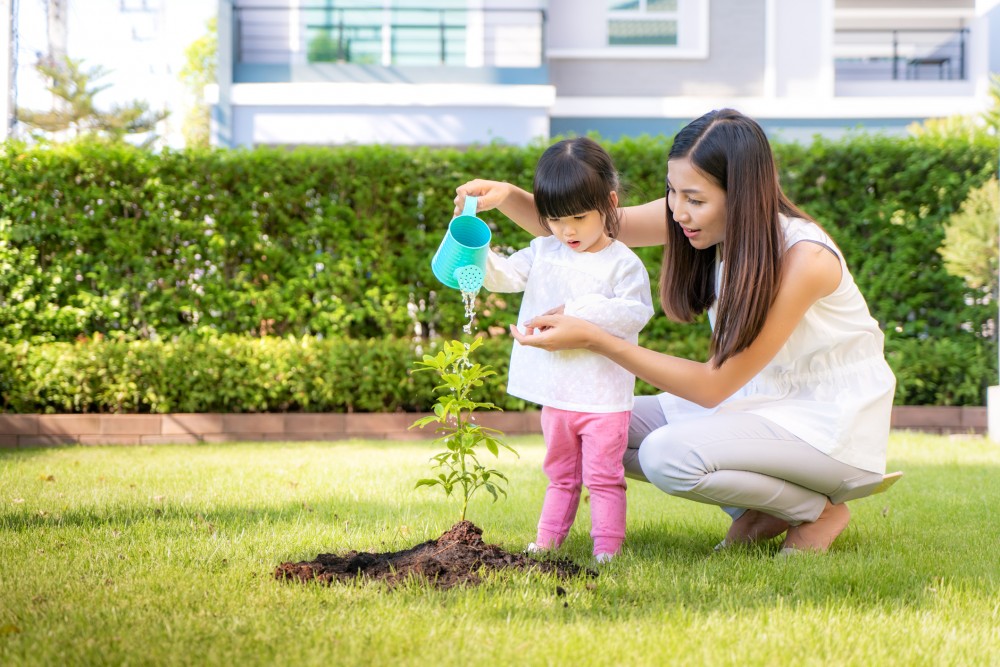 planting