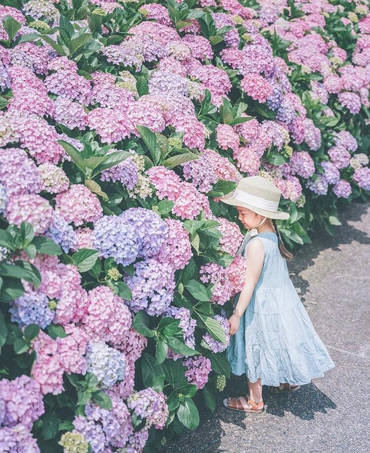 小兄妹。