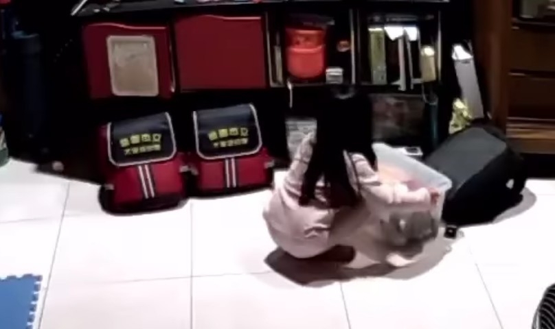 爆廢公社