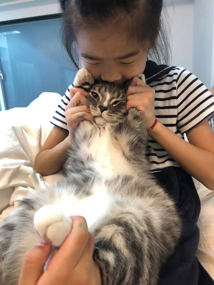 哈尼:放.....開......我.......