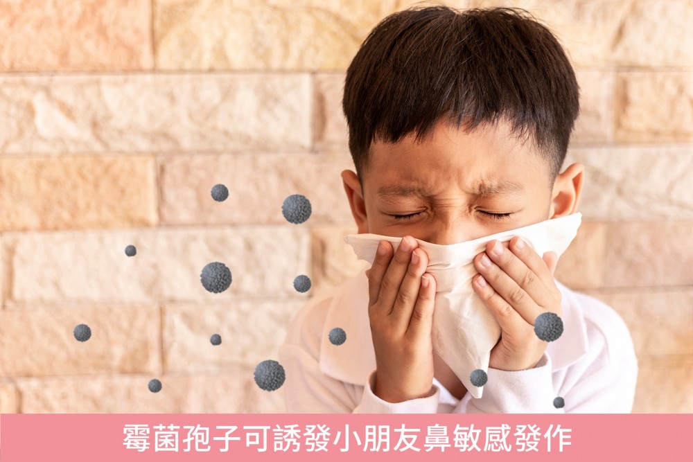 小朋友同老人家成日鼻敏感發作?殺滅家居致敏霉菌可減低病發機會