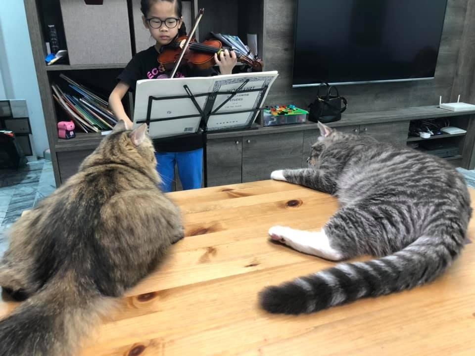 哈尼vs瑪妮FB