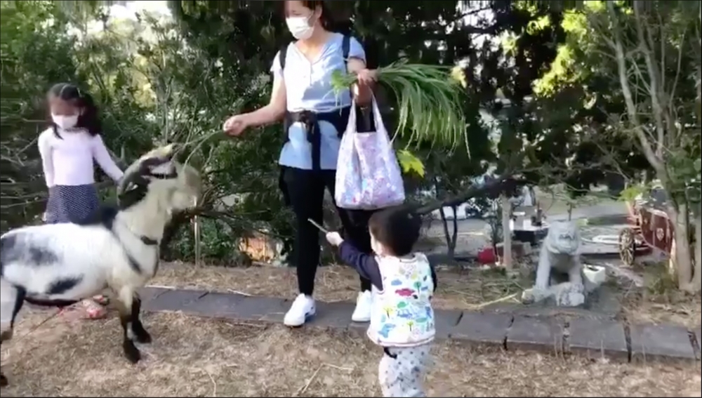 網上流傳片段