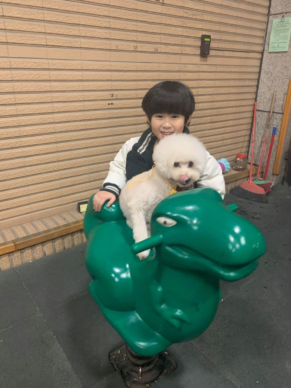 林珊如