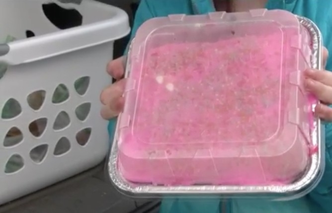 奪去了美國肯塔基州的35歲男子Jason Barton生命，他的妻子和三名年幼子女頓失家庭經濟支柱。