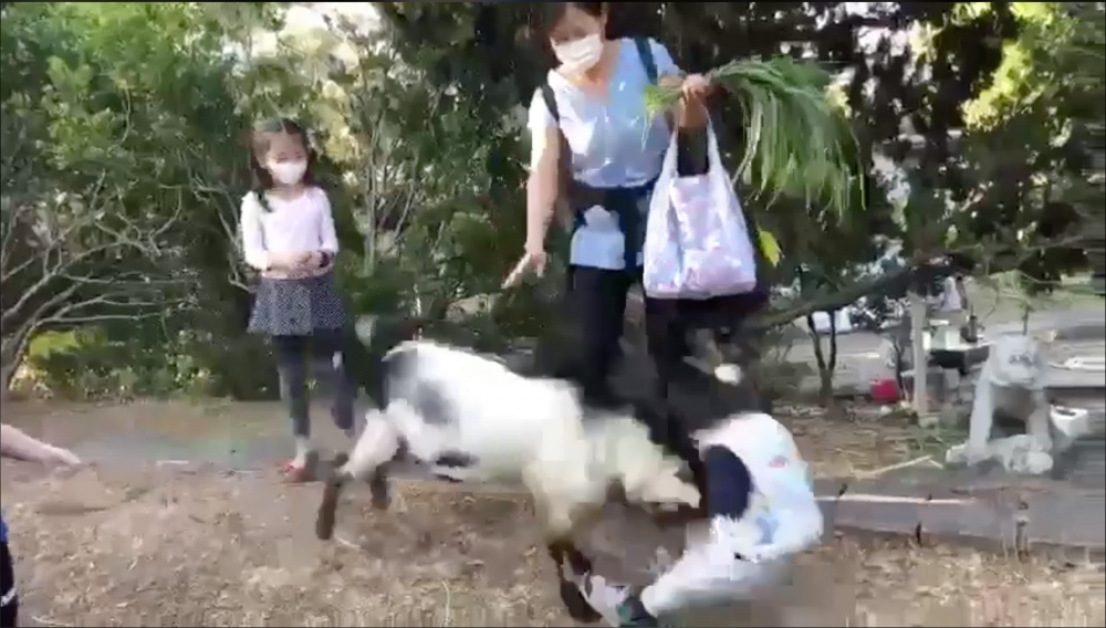 網上流傳片段