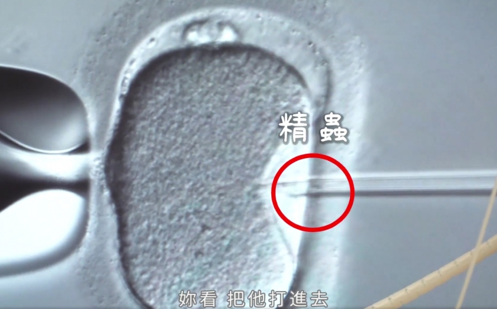 趙小僑 官方粉絲專頁@FB