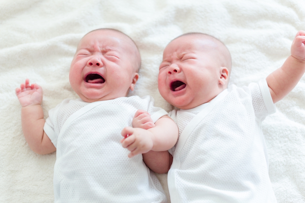 twins baby