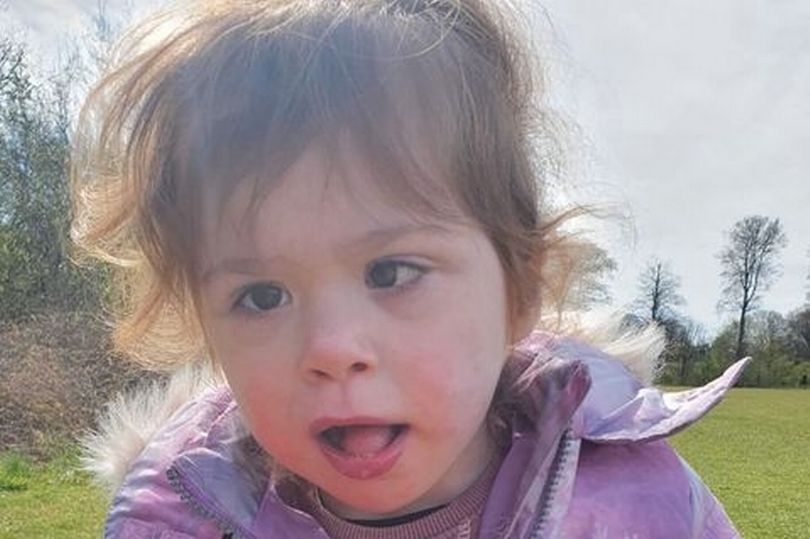 翻攝自《Mirror》