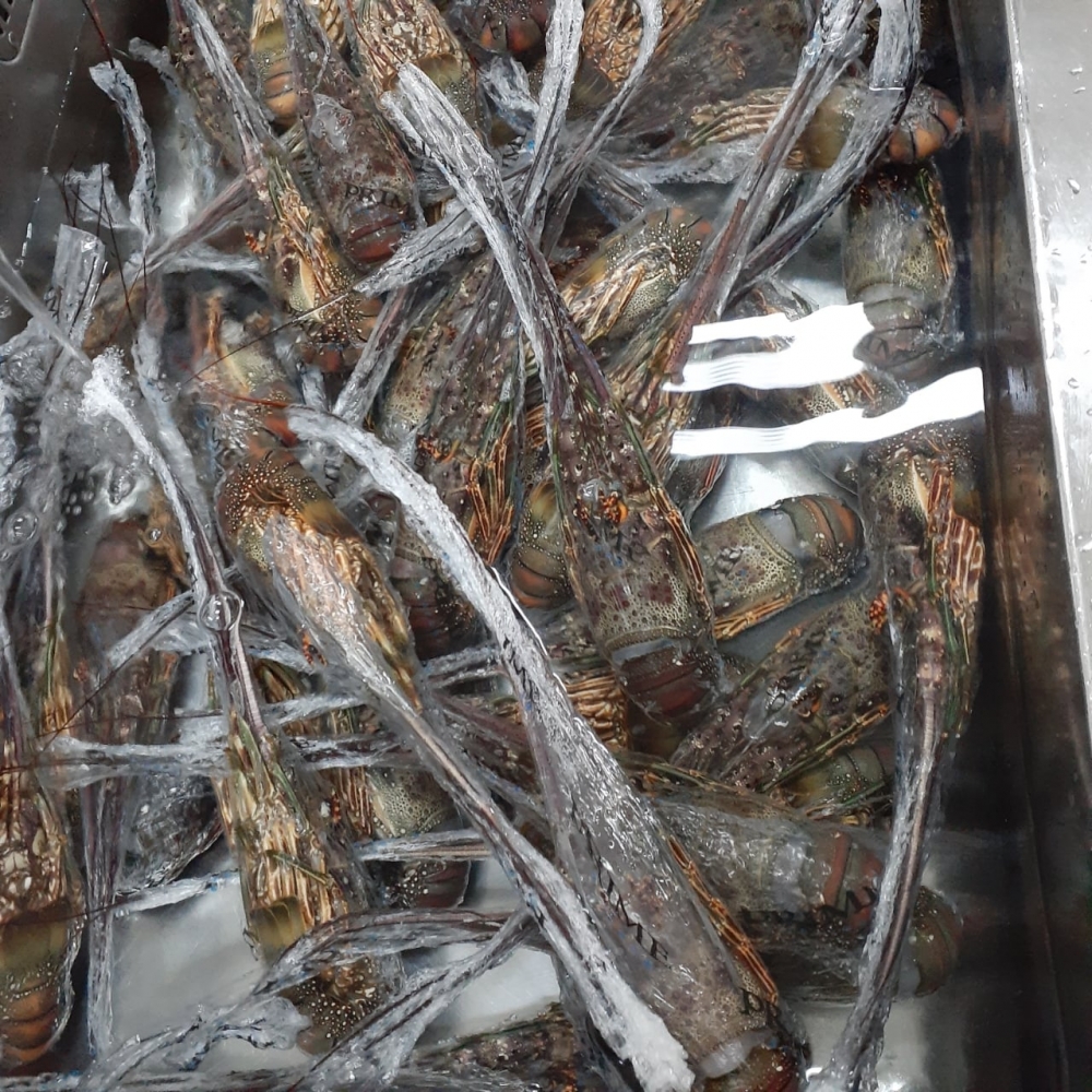 雲林縣北港鎮南陽國小 Facebook