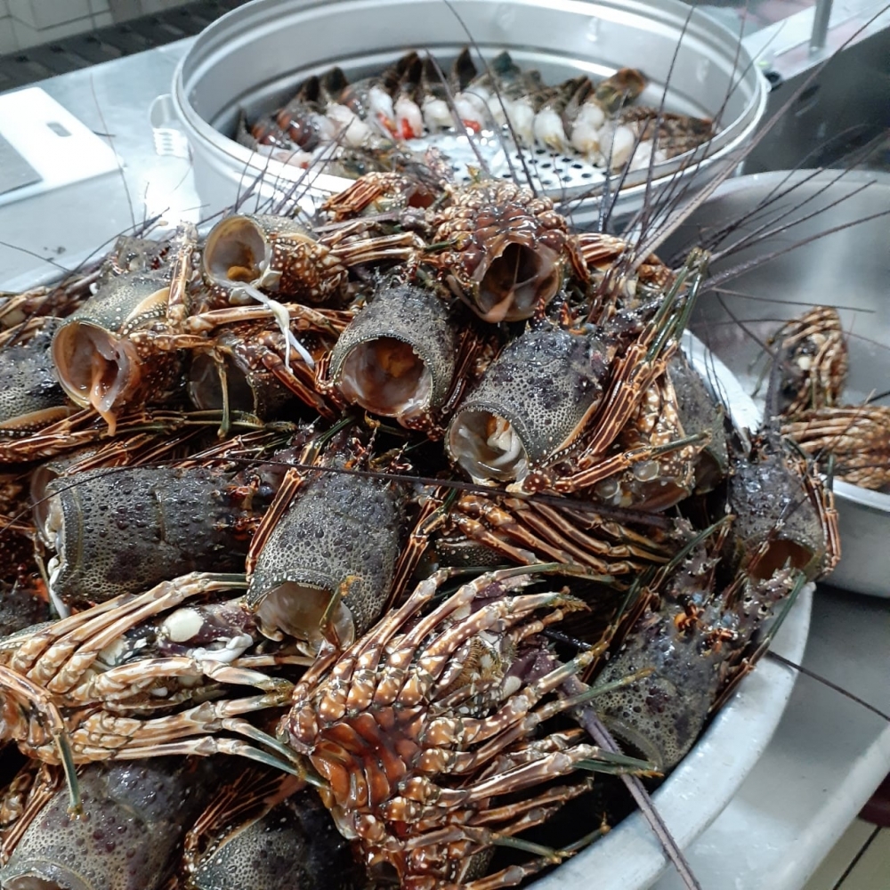 雲林縣北港鎮南陽國小 Facebook