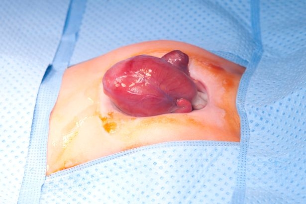 翻攝自《Mirror》